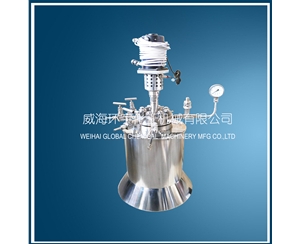 GSH-0.3L High Pressure High Temperature Reactor