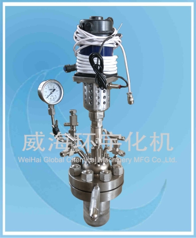 0.5L 微型反應釜